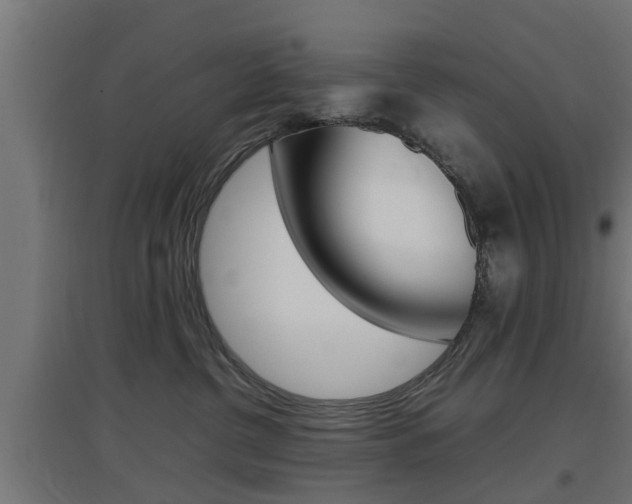 X0000097660380200802290928