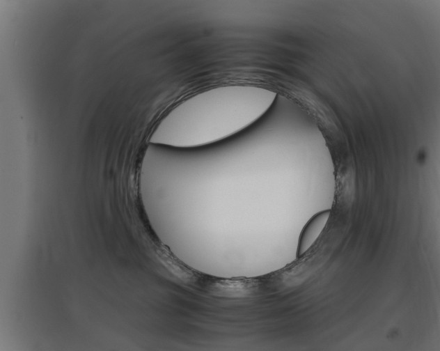 X0000097660381200802290928