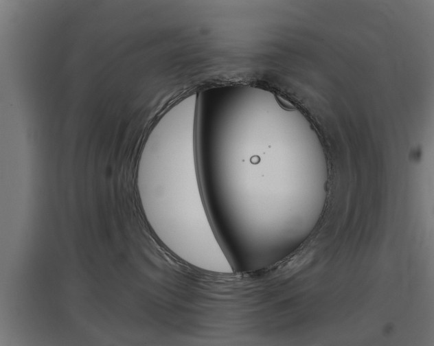 X0000097660384200802290928