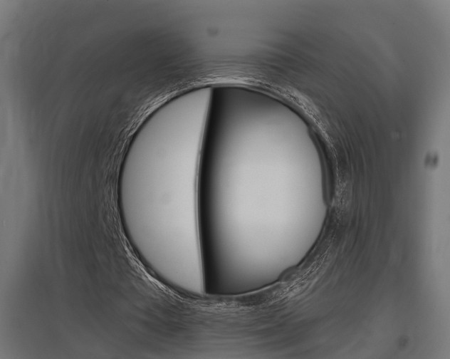X0000097660385200802290927