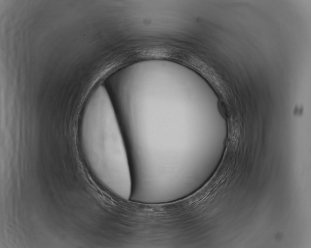 X0000097660386200802290927