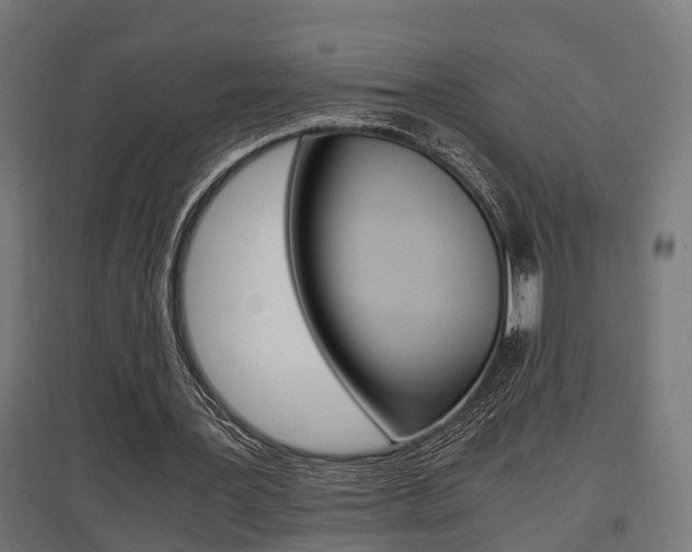 X0000097660387200802290927