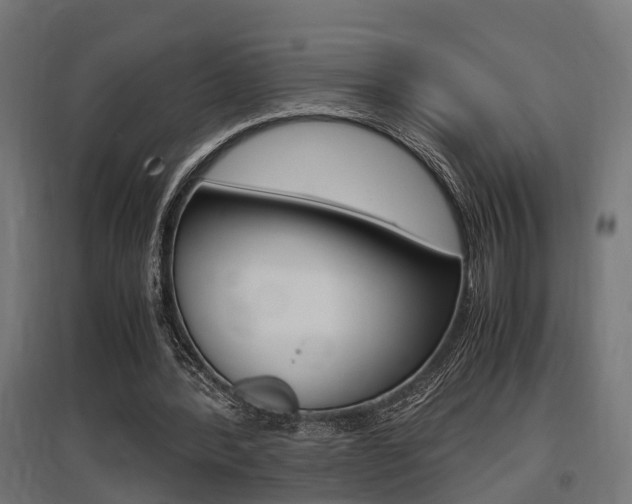 X0000097660388200802290927