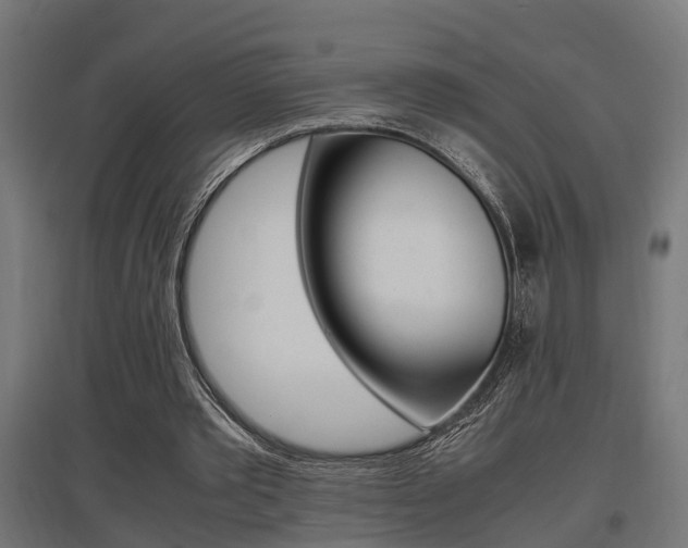 X0000097660389200802290927
