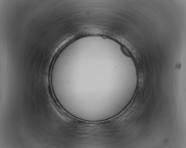 X0000097660390200802290927