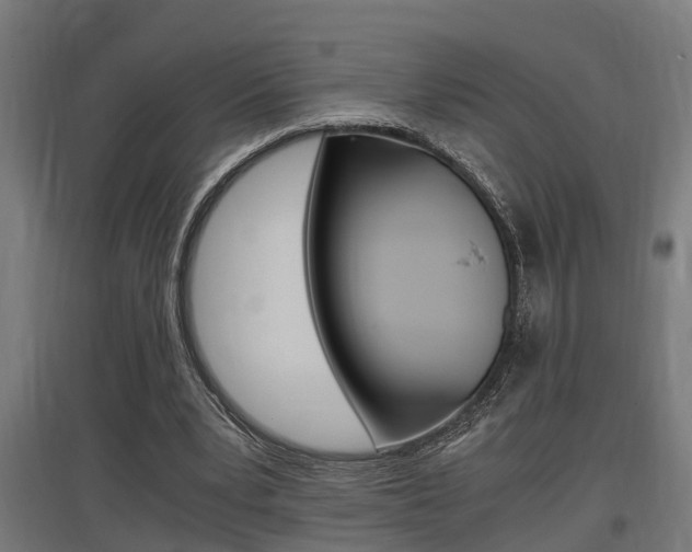 X0000097660391200802290927