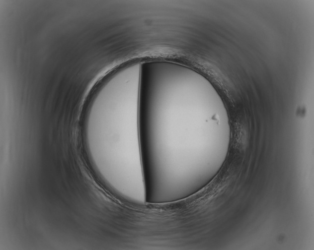 X0000097660392200802290927