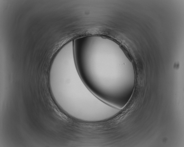 X0000097660393200802290926