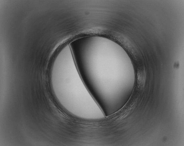 X0000097660396200802290926
