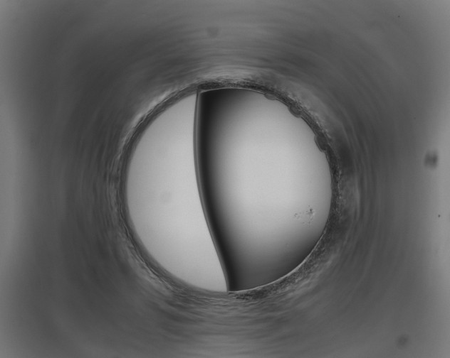 X0000097660399200802290926