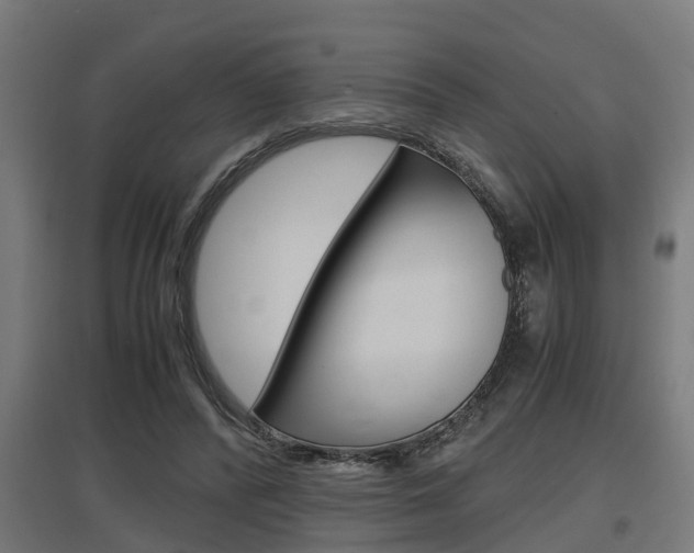 X0000097660400200802290926