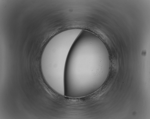 X0000097660401200802290926