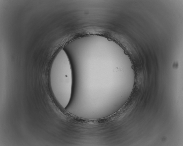 X0000097660402200802290926