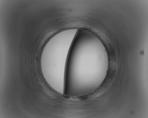 X0000097660403200802290926
