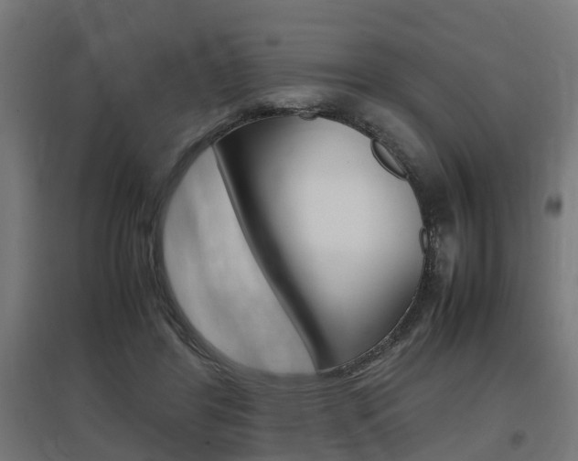 X0000097660404200802290926