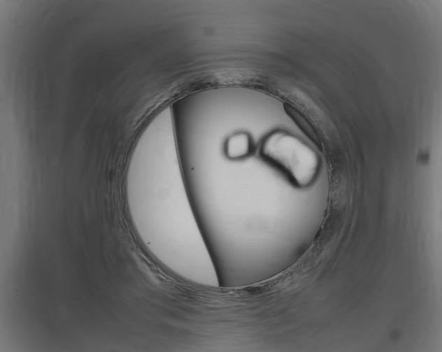 X0000097660405200802290926