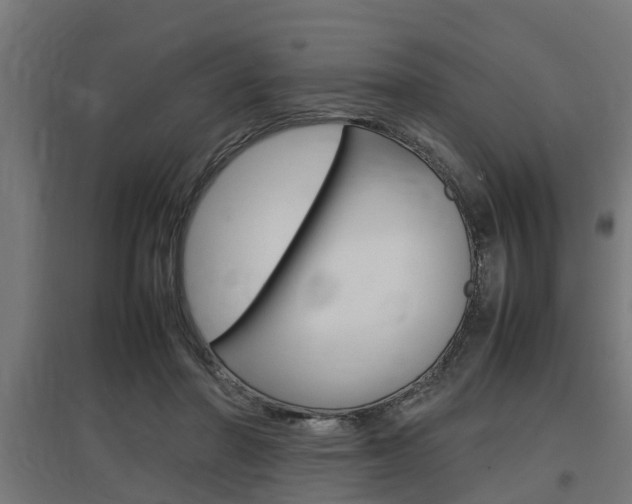 X0000097660406200802290926