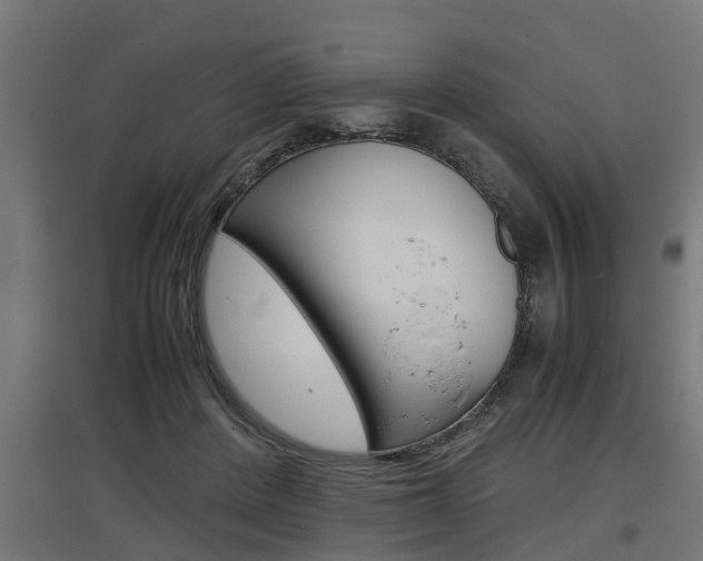 X0000097660408200802290926