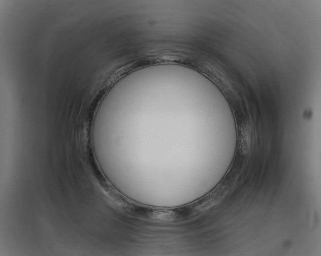 X0000097660410200802290926