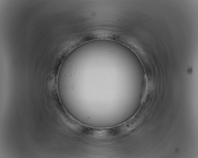 X0000097660411200802290926