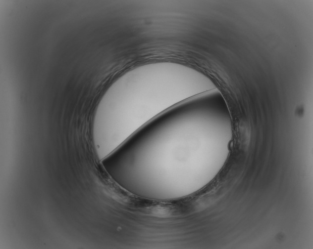 X0000097660412200802290926