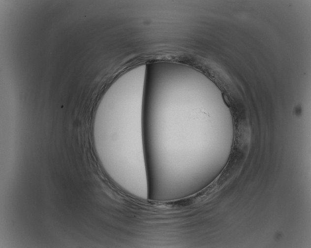 X0000097660413200802290926