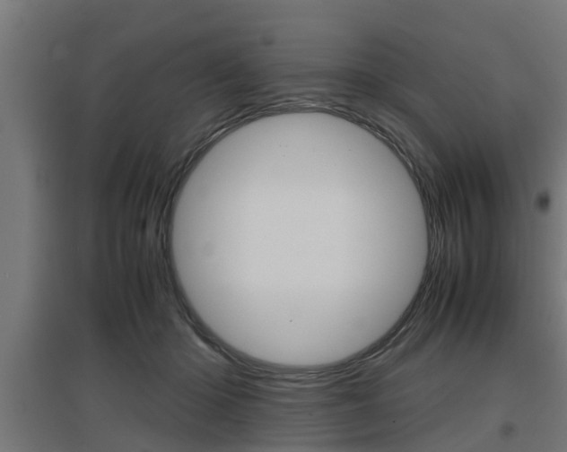 X0000097660414200802290926