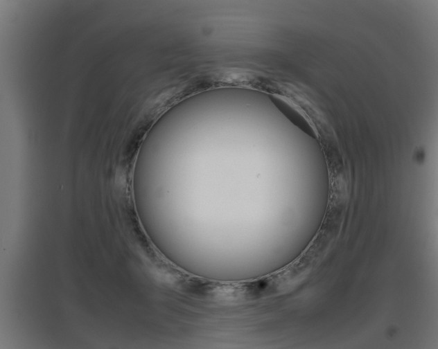 X0000097660415200802290926