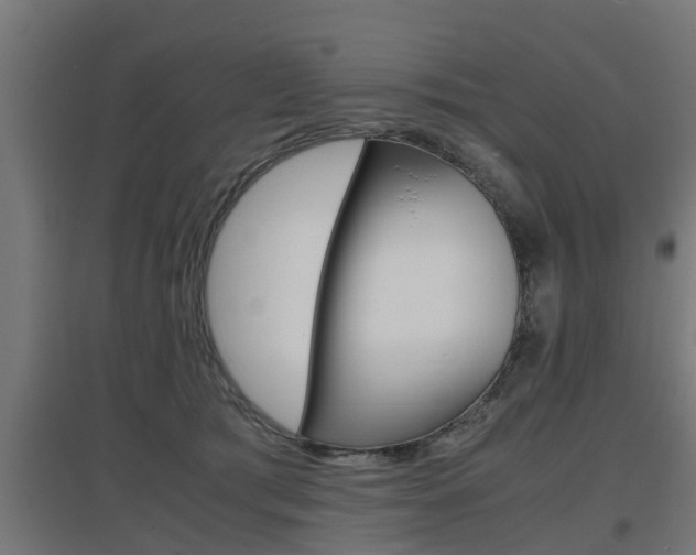 X0000097660417200802290926