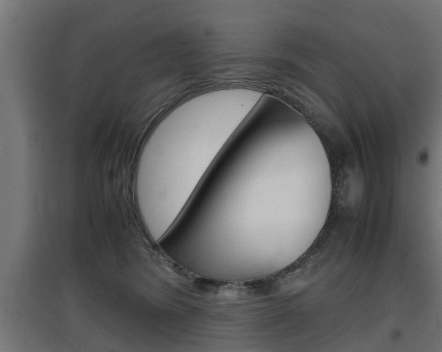 X0000097660420200802290926