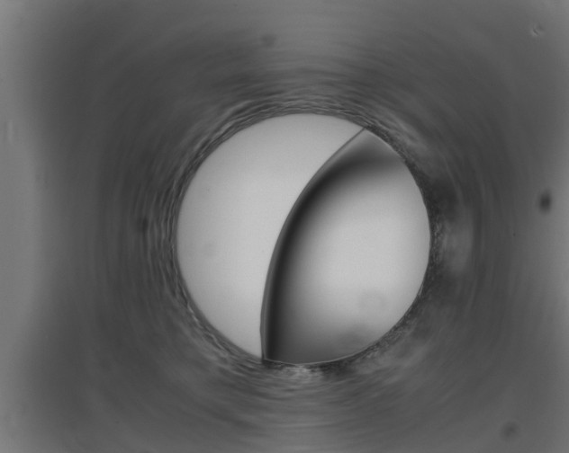 X0000097660421200802290926