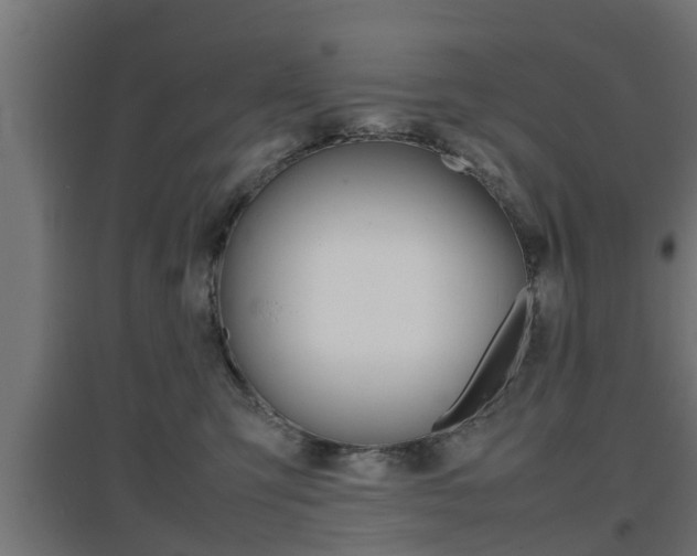 X0000097660423200802290926
