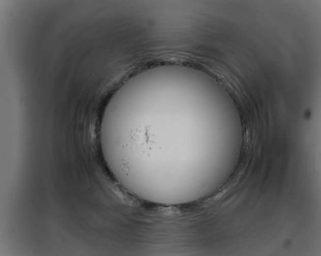 X0000097660424200802290926