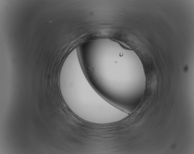 X0000097660425200802290926