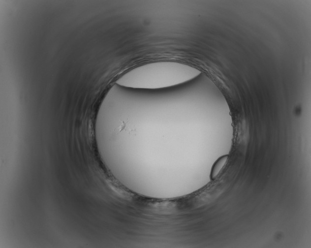X0000097660426200802290926
