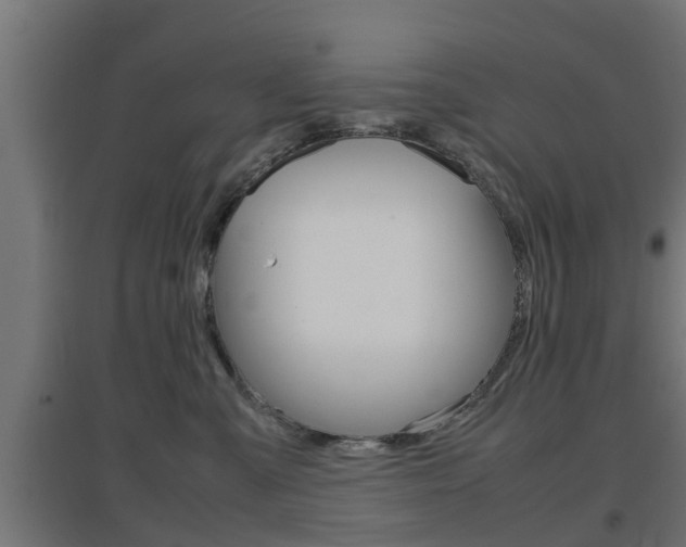 X0000097660427200802290926