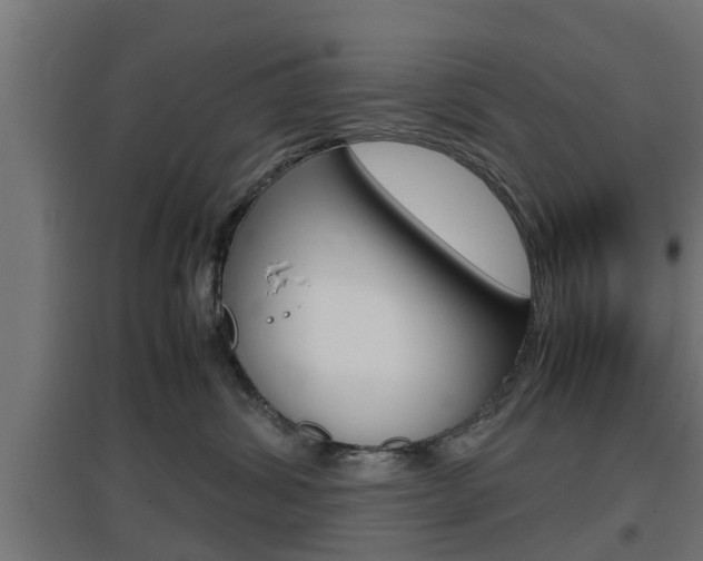 X0000097660428200802290926