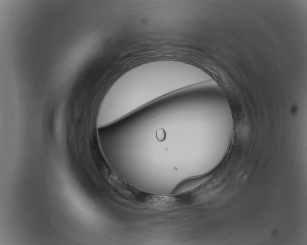 X0000097660429200802290926