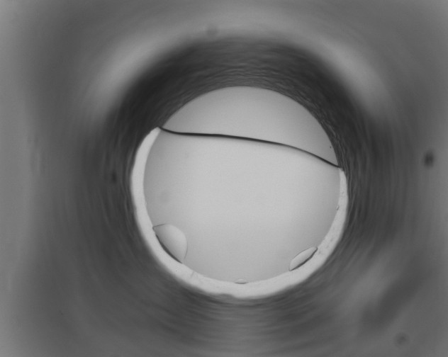 X0000097660431200802290926