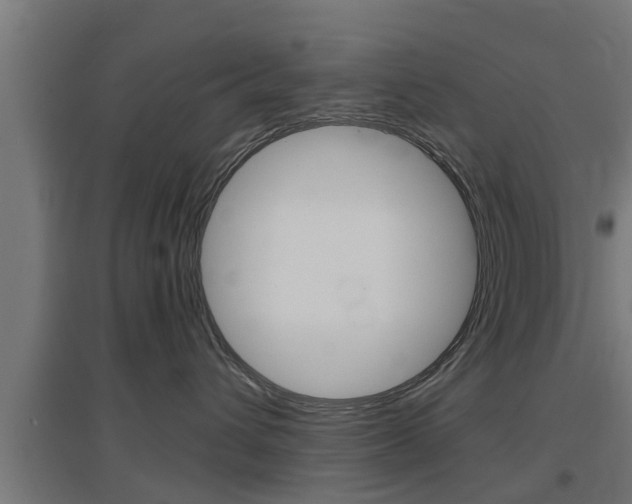 X0000097660432200802290926