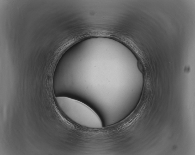 X0000097660433200802290925