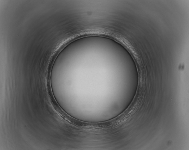 X0000097660434200802290925