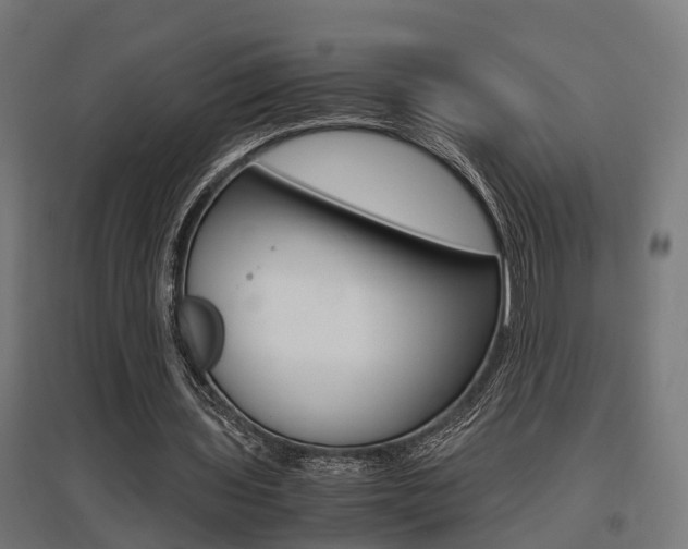 X0000097660435200802290925