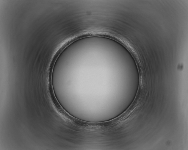 X0000097660438200802290925
