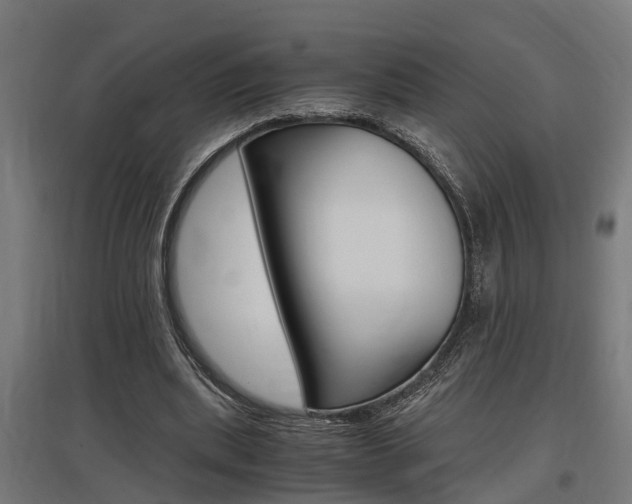 X0000097660439200802290925
