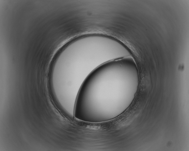 X0000097660440200802290925