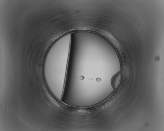 X0000097660441200802290925
