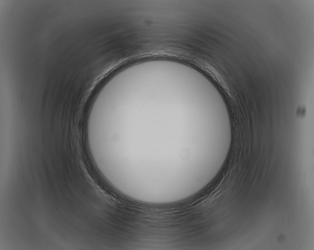 X0000097660444200802290925