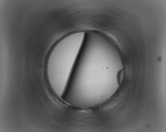 X0000097660447200802290925
