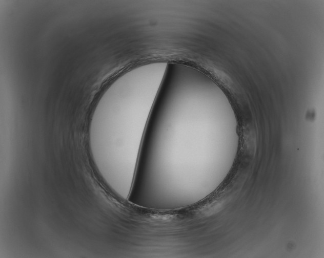 X0000097660450200802290925